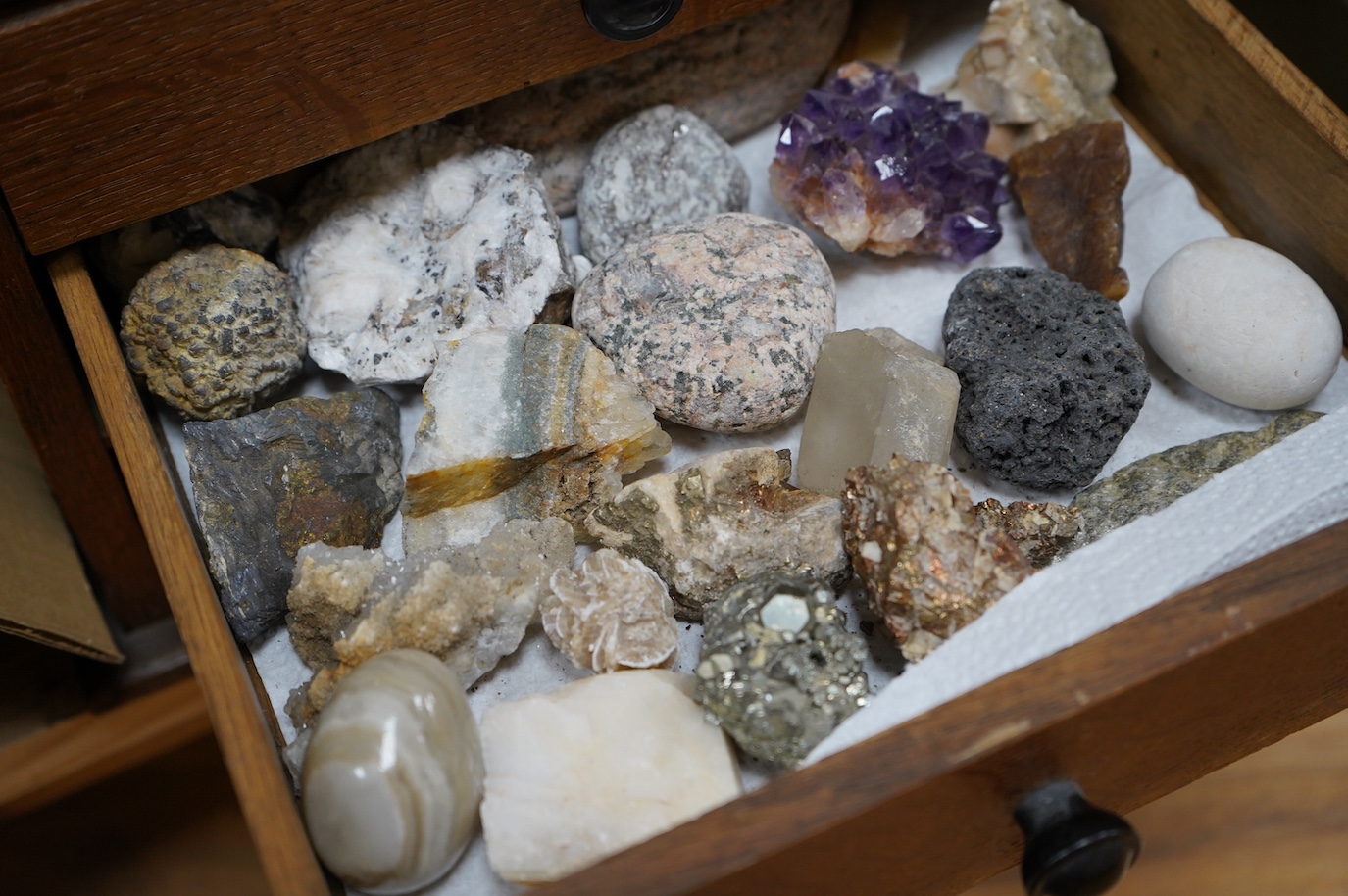 A collection of shells, rocks and specimen stones including; coral fragments, ammonites, quartz samples and other minerals, an echinoid, a selection of shells and a few reference books, most contained within two collecto